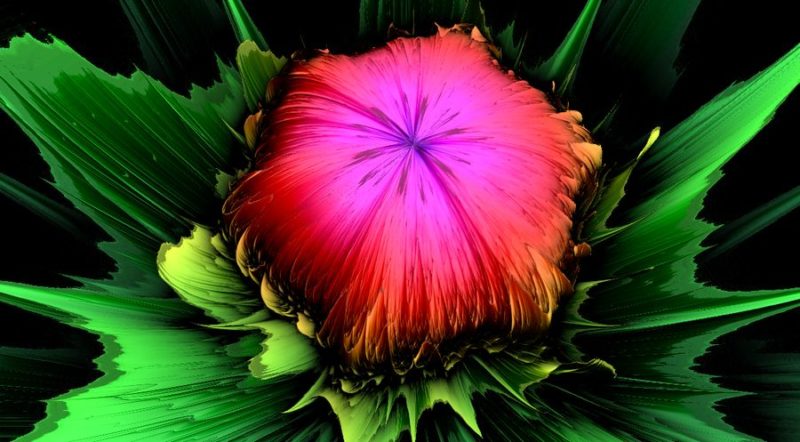GeeXLab - Twigl flower shader