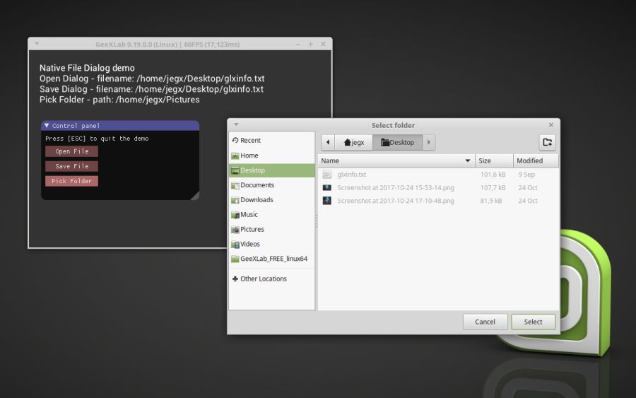 GeeXLab native file dialog demo on Linux
