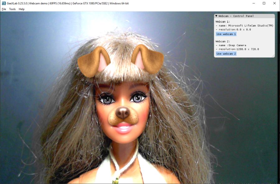 GeeXLab with Snap Camera - dog lense