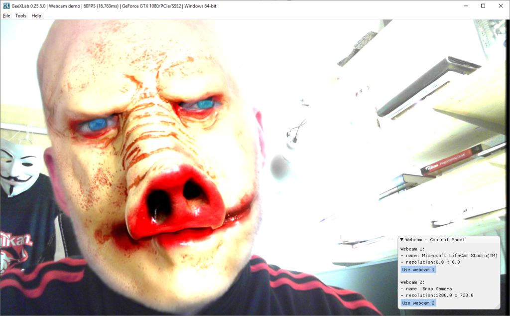 GeeXLab with Snap Camera - Squeak Piggy lense