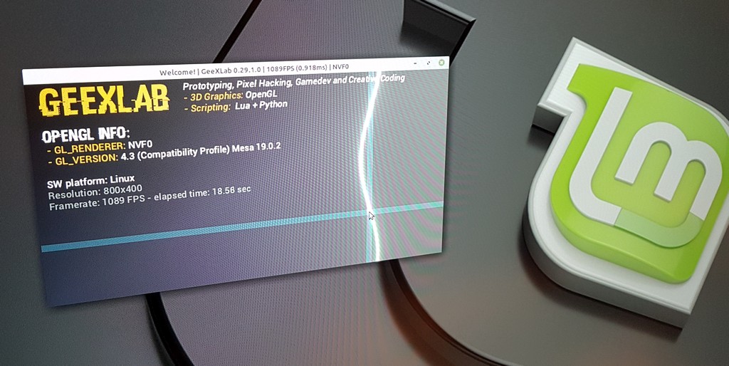 GeeXLab 0.29.1 on Linux x64